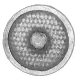 Light auxiliary shields