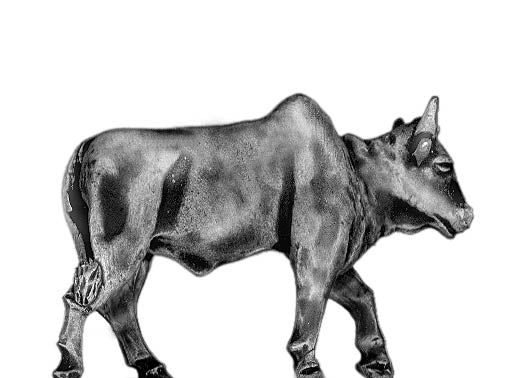 This is a photo of the figure