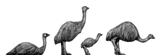 This is a photo of the figure
