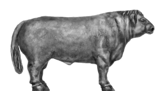 This is a photo of the figure