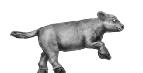 This is a photo of the figure