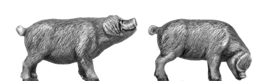 This is a photo of the figure