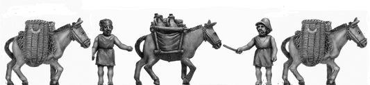 Mule team