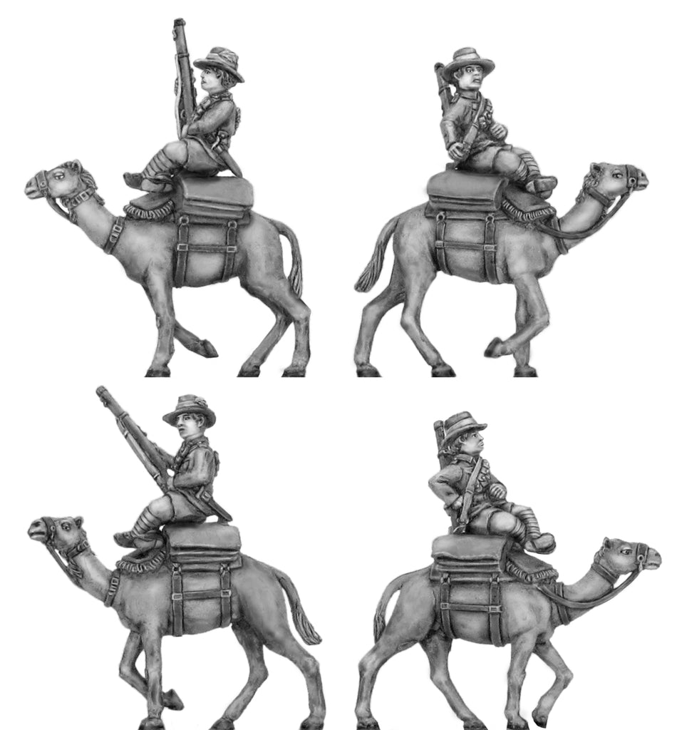 100HBC102 Australian camel corps, walking