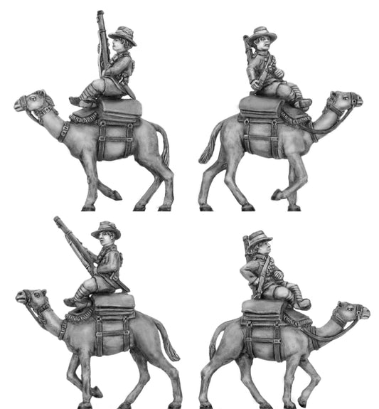 100HBC102 Australian camel corps, walking