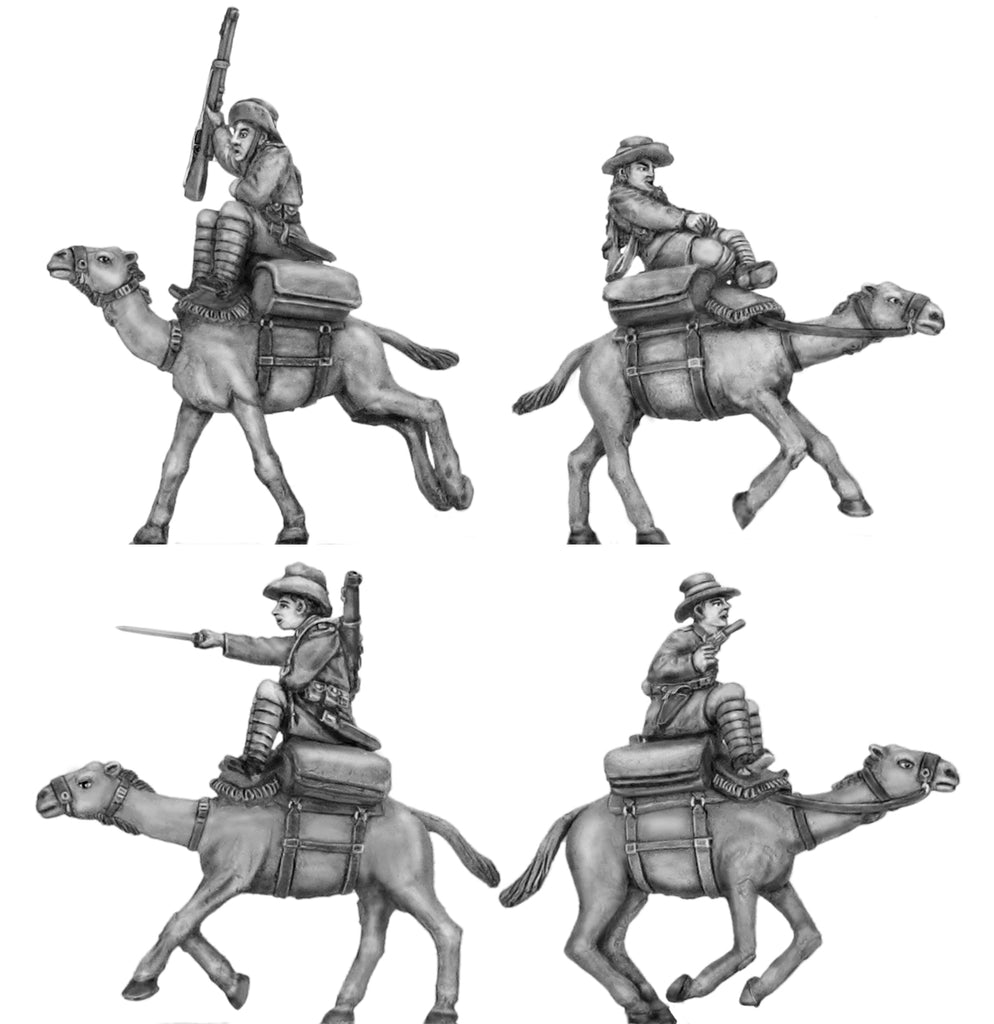 100HBC103 Australian camel corps, charging