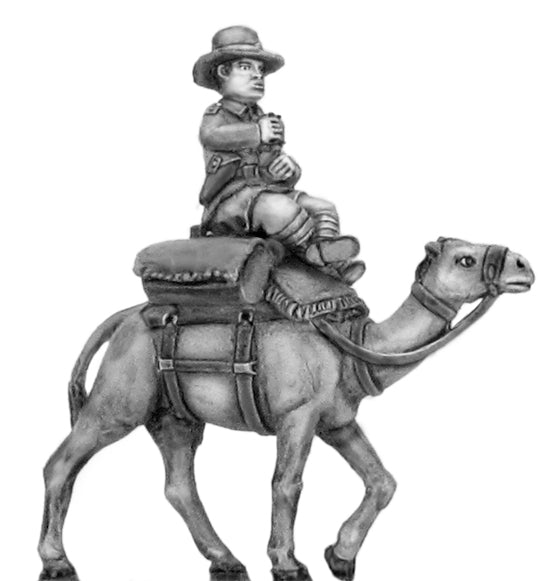 100HBC104 Australian camel corps Officer