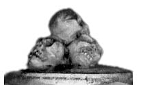 This is a photo of the figure
