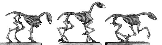 This is a photo of the figure