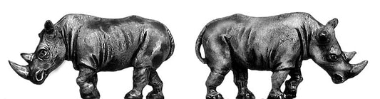 This is a photo of the figure