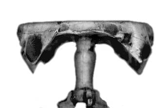 This is a photo of the figure